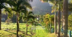 Venda de Lindo Sítio com 10 hectares Paraíso na Serra da Cruz | Macaé/RJ Venda de Lindo Sítio com 10 hectares Paraíso na Serra da Cruz | Macaé/RJ