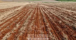 Venda de Fazenda 1.349,71 has Alta Produtividade | Primavera do Leste/MT Venda de Fazenda 1.349,71 has Alta Produtividade | Primavera do Leste/MT