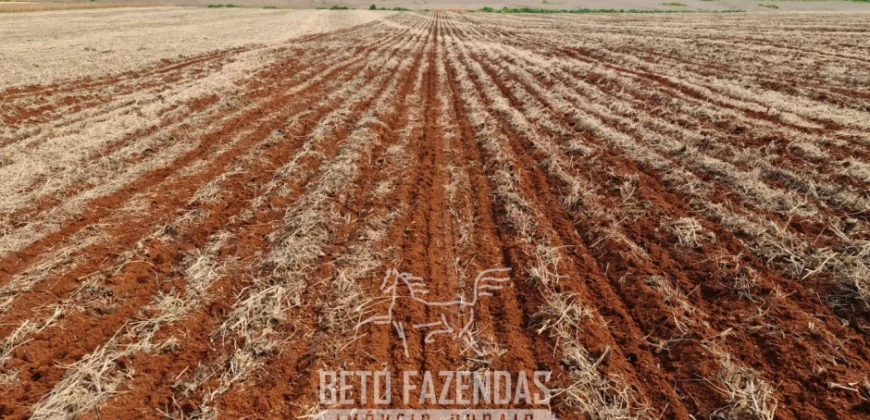 Venda de Fazenda 1.349,71 has Alta Produtividade | Primavera do Leste/MT