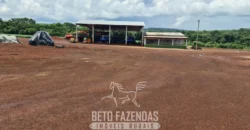 Venda de Fazenda 1.349,71 has Alta Produtividade | Primavera do Leste/MT Venda de Fazenda 1.349,71 has Alta Produtividade | Primavera do Leste/MT