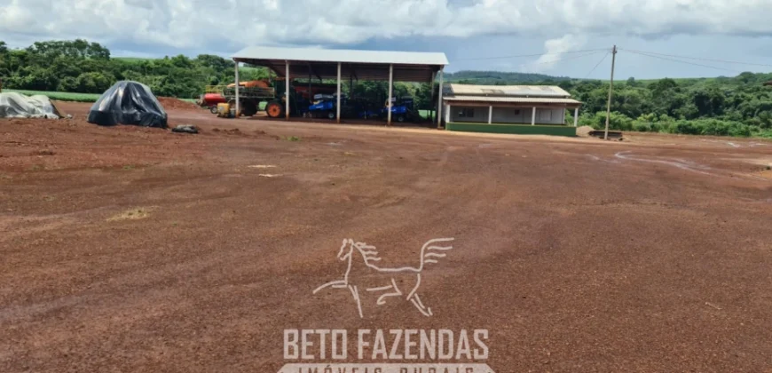 Venda de Fazenda 1.349,71 has Alta Produtividade | Primavera do Leste/MT