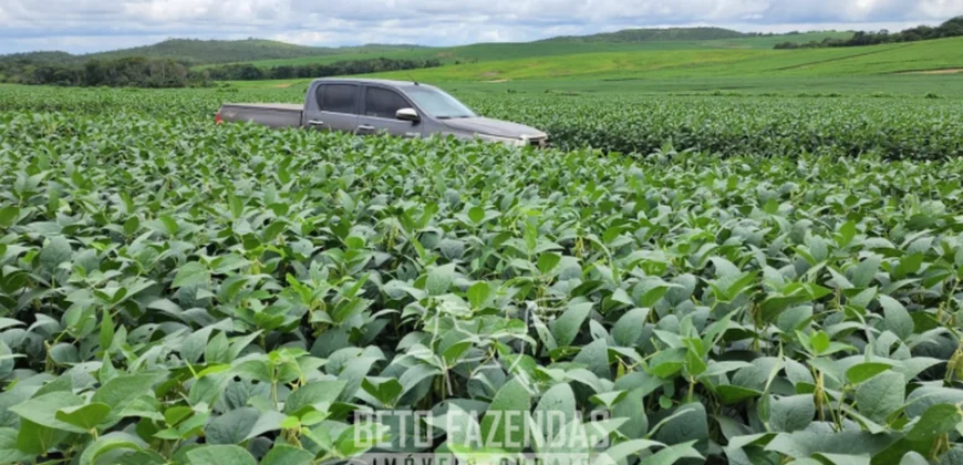 Venda de Fazenda 1.349,71 has Alta Produtividade | Primavera do Leste/MT