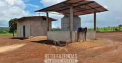 Venda de Fazenda 1.349,71 has Alta Produtividade | Primavera do Leste/MT Venda de Fazenda 1.349,71 has Alta Produtividade | Primavera do Leste/MT