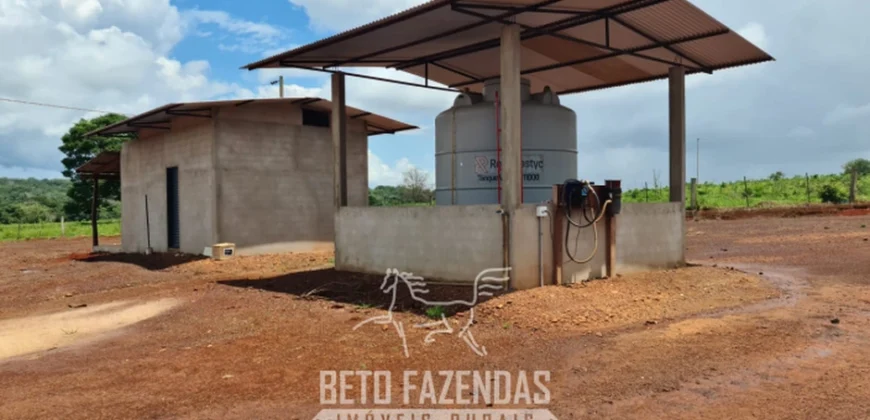 Venda de Fazenda 1.349,71 has Alta Produtividade | Primavera do Leste/MT