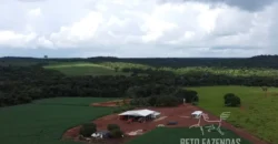 Venda de Fazenda 1.349,71 has Alta Produtividade | Primavera do Leste/MT Venda de Fazenda 1.349,71 has Alta Produtividade | Primavera do Leste/MT