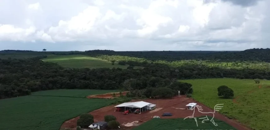 Venda de Fazenda 1.349,71 has Alta Produtividade | Primavera do Leste/MT
