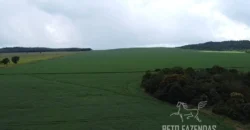 Venda de Fazenda 1.349,71 has Alta Produtividade | Primavera do Leste/MT Venda de Fazenda 1.349,71 has Alta Produtividade | Primavera do Leste/MT