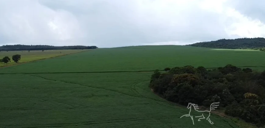 Venda de Fazenda 1.349,71 has Alta Produtividade | Primavera do Leste/MT