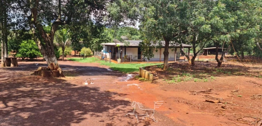 Venda de Fazenda 1.349,71 has Alta Produtividade | Primavera do Leste/MT