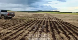 Venda de Fazenda 1.349,71 has Alta Produtividade | Primavera do Leste/MT Venda de Fazenda 1.349,71 has Alta Produtividade | Primavera do Leste/MT