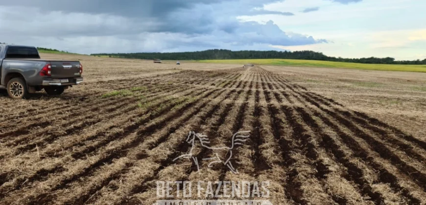 Venda de Fazenda 1.349,71 has Alta Produtividade | Primavera do Leste/MT