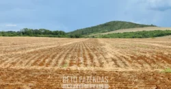 Venda de Fazenda 1.349,71 has Alta Produtividade | Primavera do Leste/MT Venda de Fazenda 1.349,71 has Alta Produtividade | Primavera do Leste/MT