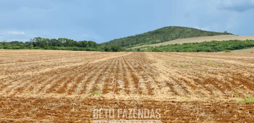 Venda de Fazenda 1.349,71 has Alta Produtividade | Primavera do Leste/MT