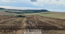 Venda de Fazenda 1.349,71 has Alta Produtividade | Primavera do Leste/MT Venda de Fazenda 1.349,71 has Alta Produtividade | Primavera do Leste/MT