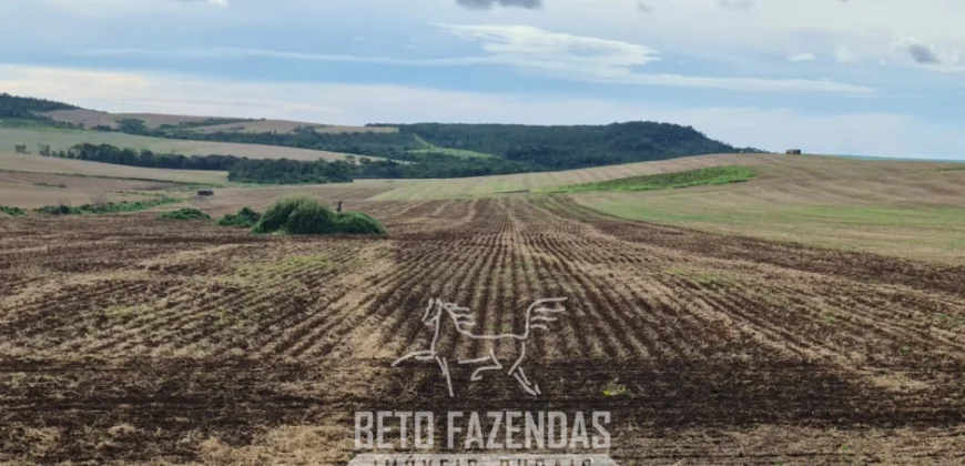 Venda de Fazenda 1.349,71 has Alta Produtividade | Primavera do Leste/MT