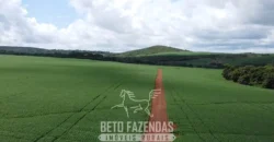 Venda de Fazenda 1.349,71 has Alta Produtividade | Primavera do Leste/MT Venda de Fazenda 1.349,71 has Alta Produtividade | Primavera do Leste/MT