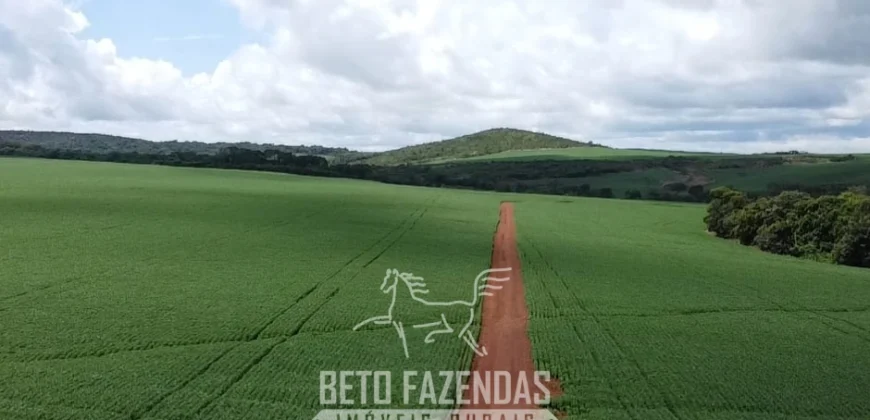 Venda de Fazenda 1.349,71 has Alta Produtividade | Primavera do Leste/MT