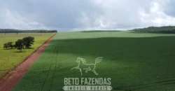 Venda de Fazenda 1.349,71 has Alta Produtividade | Primavera do Leste/MT Venda de Fazenda 1.349,71 has Alta Produtividade | Primavera do Leste/MT