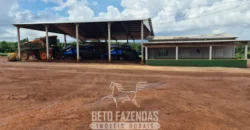 Venda de Fazenda 1.349,71 has Alta Produtividade | Primavera do Leste/MT Venda de Fazenda 1.349,71 has Alta Produtividade | Primavera do Leste/MT