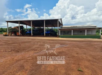 Venda de Fazenda 1.349,71 has Alta Produtividade | Primavera do Leste/MT