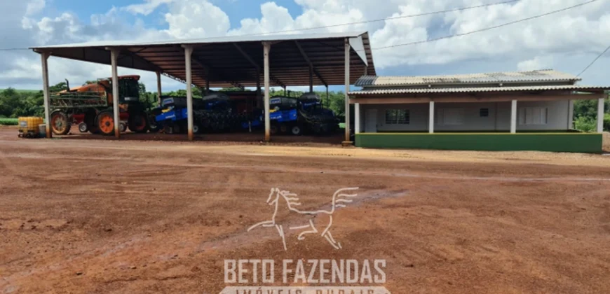 Venda de Fazenda 1.349,71 has Alta Produtividade | Primavera do Leste/MT