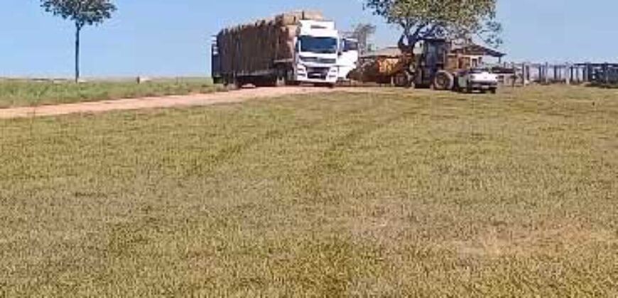 Fazenda à Venda 1.800 hectares Potencial Agrícola | Barra do Garças/MT Fazenda à Venda 1.800 hectares Potencial Agrícola | Barra do Garças/MT