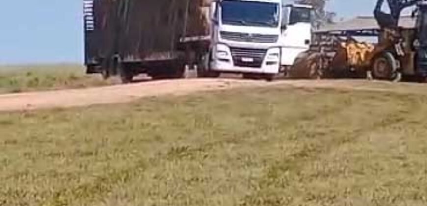 Fazenda à Venda 1.800 hectares Potencial Agrícola | Barra do Garças/MT Fazenda à Venda 1.800 hectares Potencial Agrícola | Barra do Garças/MT