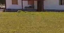 Fazenda à Venda 1.800 hectares Potencial Agrícola | Barra do Garças/MT Fazenda à Venda 1.800 hectares Potencial Agrícola | Barra do Garças/MT