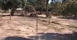 Fazenda à Venda 1.800 hectares Potencial Agrícola | Barra do Garças/MT Fazenda à Venda 1.800 hectares Potencial Agrícola | Barra do Garças/MT