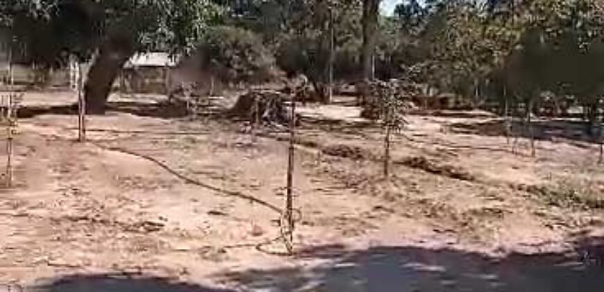 Fazenda à Venda 1.800 hectares Potencial Agrícola | Barra do Garças/MT Fazenda à Venda 1.800 hectares Potencial Agrícola | Barra do Garças/MT