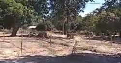 Fazenda à Venda 1.800 hectares Potencial Agrícola | Barra do Garças/MT Fazenda à Venda 1.800 hectares Potencial Agrícola | Barra do Garças/MT