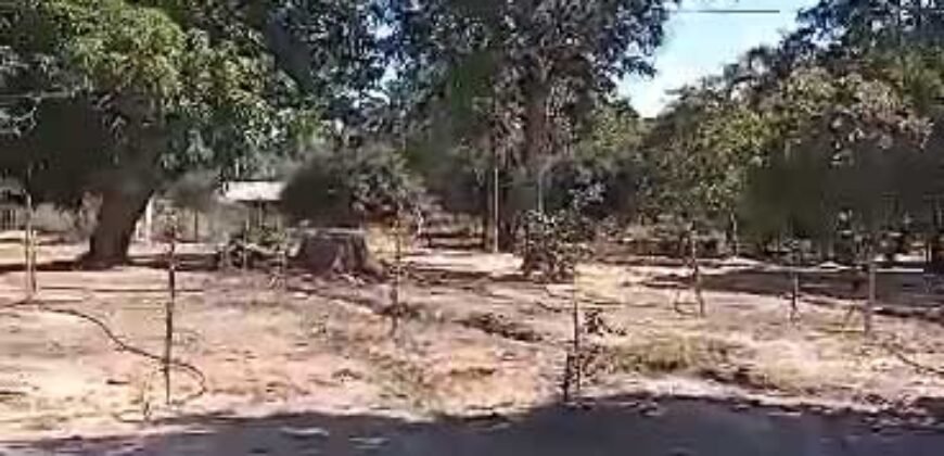 Fazenda à Venda 1.800 hectares Potencial Agrícola | Barra do Garças/MT Fazenda à Venda 1.800 hectares Potencial Agrícola | Barra do Garças/MT