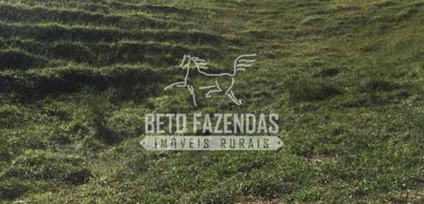 Fazenda à Venda 38 Alqueires em Manoel de Moraes | Sta. Maria Madalena/RJ