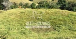 Fazenda à Venda 38 Alqueires em Manoel de Moraes | Sta. Maria Madalena/RJ