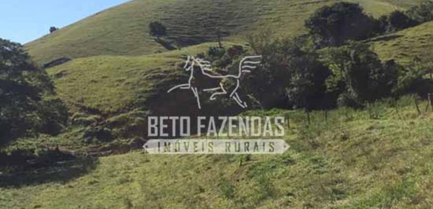 Fazenda à Venda 38 Alqueires em Manoel de Moraes | Sta. Maria Madalena/RJ