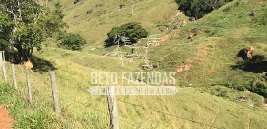 Fazenda à Venda 38 Alqueires em Manoel de Moraes | Sta. Maria Madalena/RJ