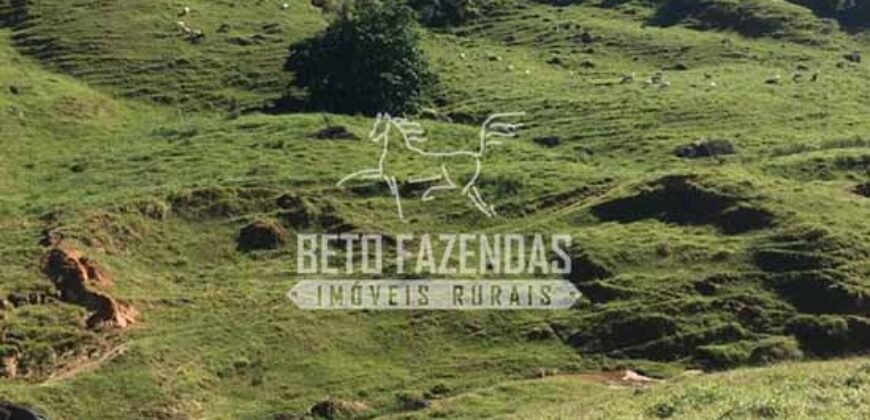 Fazenda à Venda 38 Alqueires em Manoel de Moraes | Sta. Maria Madalena/RJ