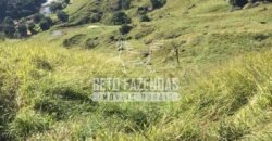 Fazenda à Venda 38 Alqueires em Manoel de Moraes | Sta. Maria Madalena/RJ