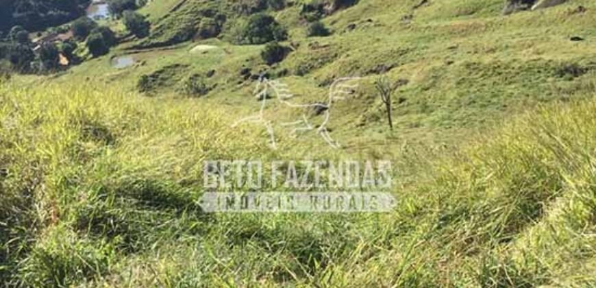 Fazenda à Venda 38 Alqueires em Manoel de Moraes | Sta. Maria Madalena/RJ