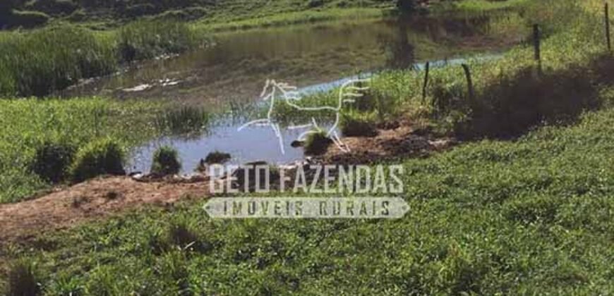 Fazenda à Venda 38 Alqueires em Manoel de Moraes | Sta. Maria Madalena/RJ
