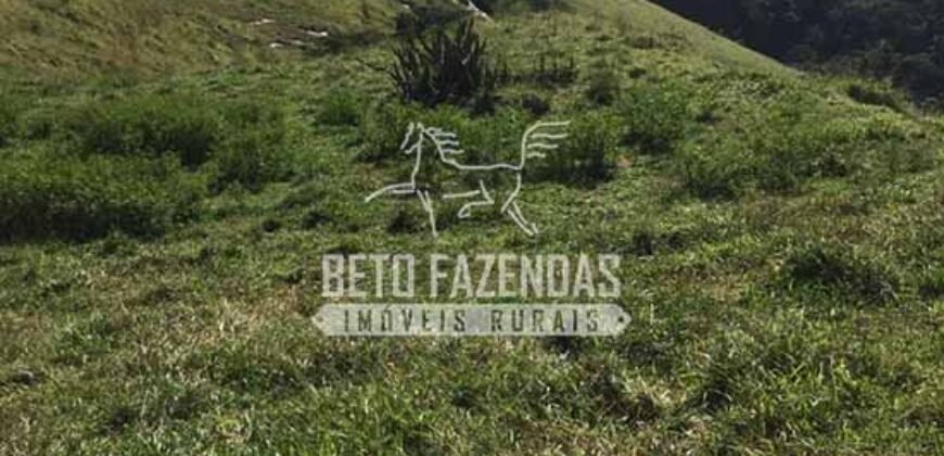 Fazenda à Venda 38 Alqueires em Manoel de Moraes | Sta. Maria Madalena/RJ
