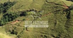 Fazenda à Venda 38 Alqueires em Manoel de Moraes | Sta. Maria Madalena/RJ