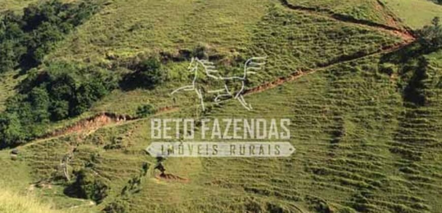 Fazenda à Venda 38 Alqueires em Manoel de Moraes | Sta. Maria Madalena/RJ