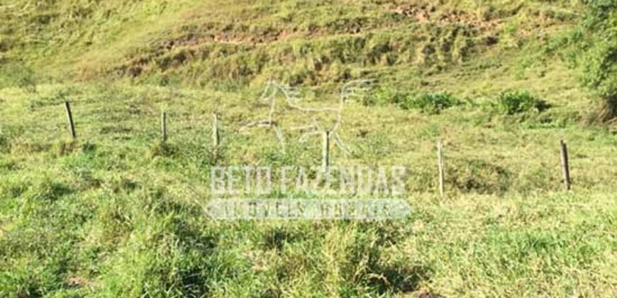 Fazenda à Venda 38 Alqueires em Manoel de Moraes | Sta. Maria Madalena/RJ