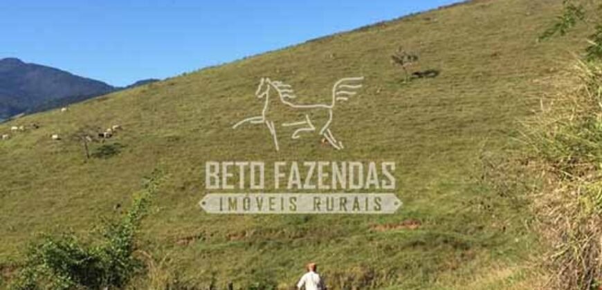 Fazenda à Venda 38 Alqueires em Manoel de Moraes | Sta. Maria Madalena/RJ
