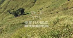 Fazenda à Venda 38 Alqueires em Manoel de Moraes | Sta. Maria Madalena/RJ