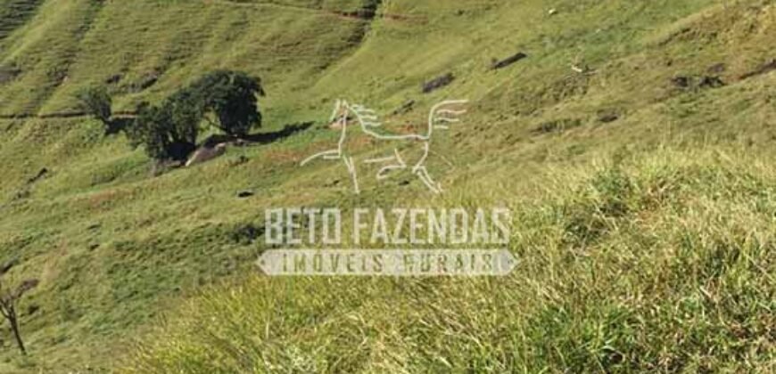 Fazenda à Venda 38 Alqueires em Manoel de Moraes | Sta. Maria Madalena/RJ