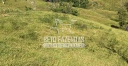 Fazenda à Venda 38 Alqueires em Manoel de Moraes | Sta. Maria Madalena/RJ