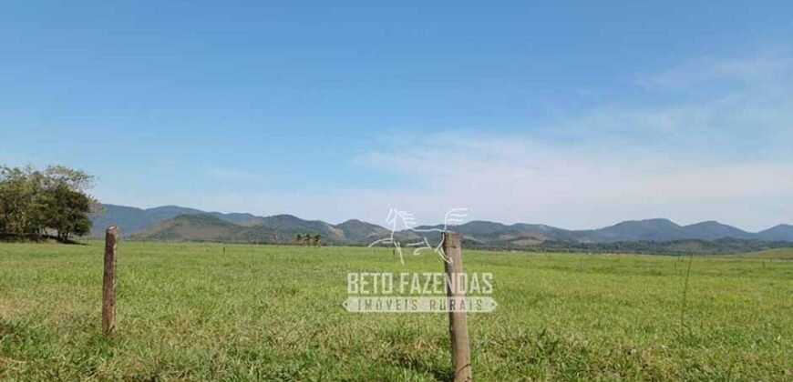 Fazenda Produtiva 607 Alqueires Rio São João Passa por Dentro | Silva Jardim/ RJ