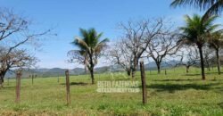 Fazenda Produtiva 607 Alqueires Rio São João Passa por Dentro | Silva Jardim/ RJ